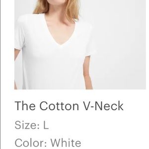 Everlane v neck tee